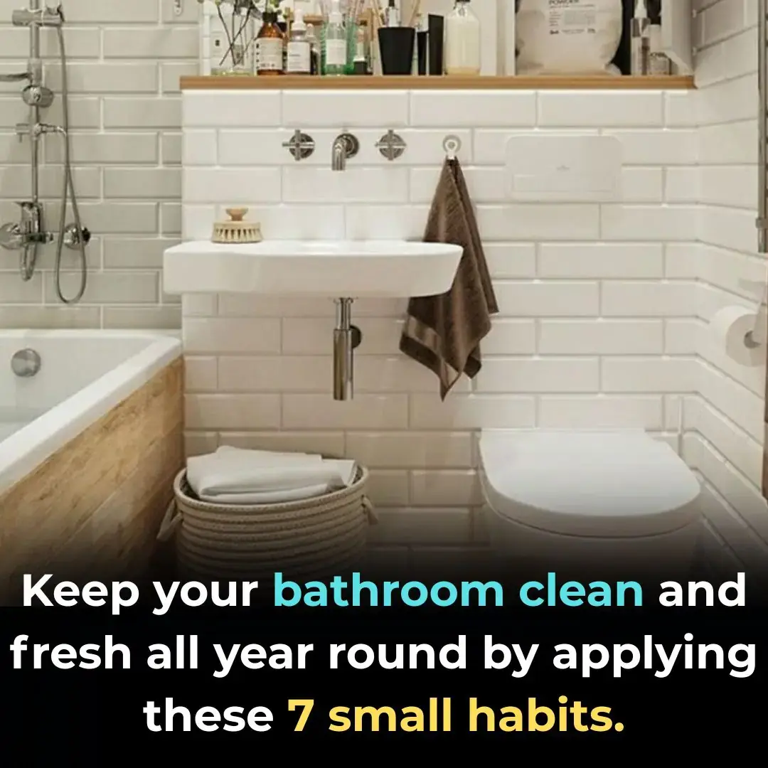 Mantén tu baño limpio y fresco todo el año aplicando estos 7 pequeños hábitos.