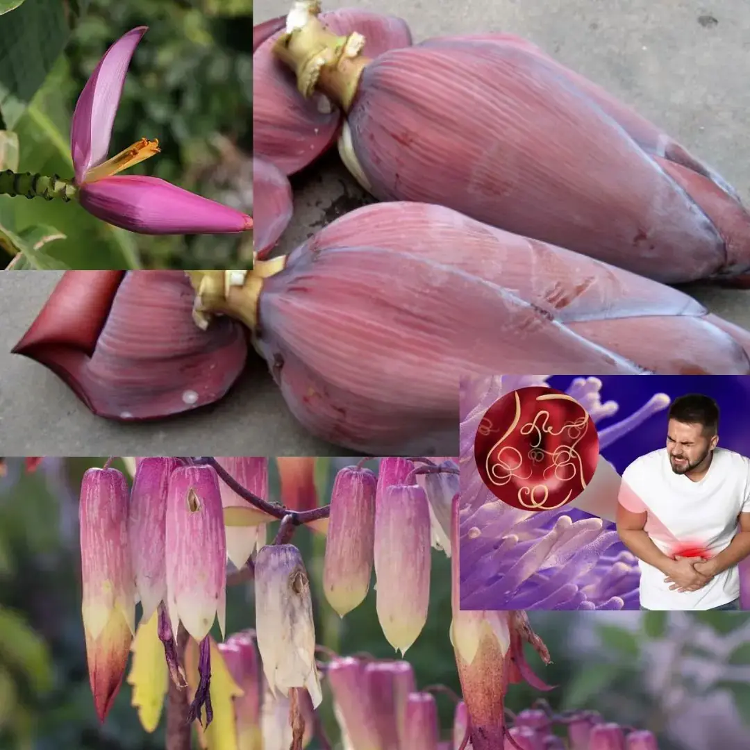 7 increíbles beneficios para la salud de las flores de plátano