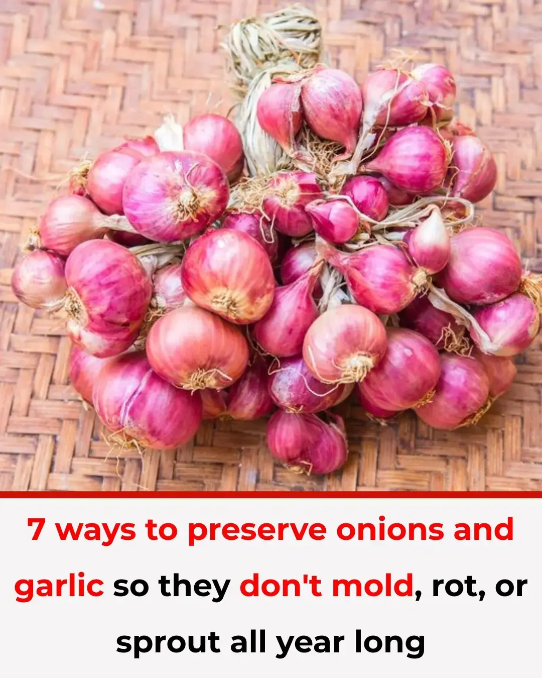 7 formas de conservar las cebollas y los ajos para que no se enmohezcan, se pudran ni broten durante todo el año