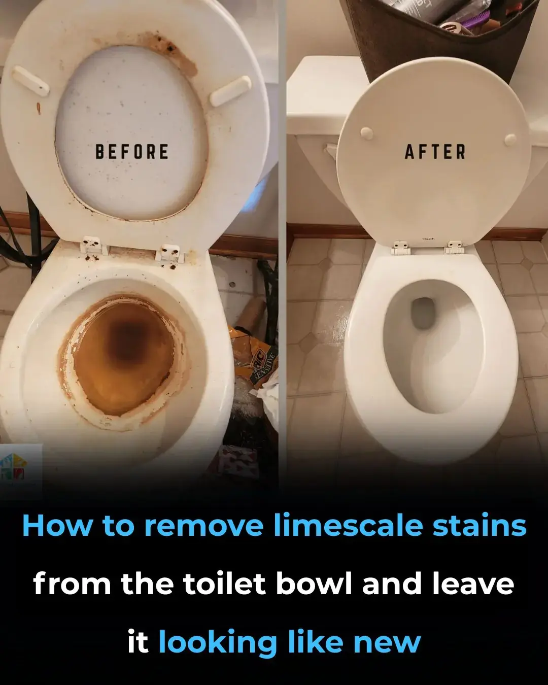 🚽 Cómo quitar las manchas de cal de la taza del inodoro: de forma natural y sin productos químicos agresivos