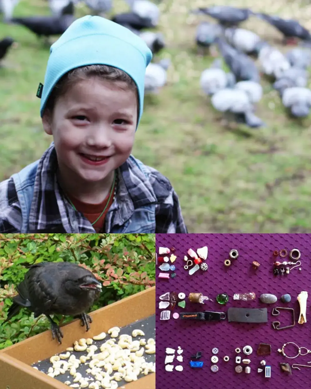 La niña y los cuervos.