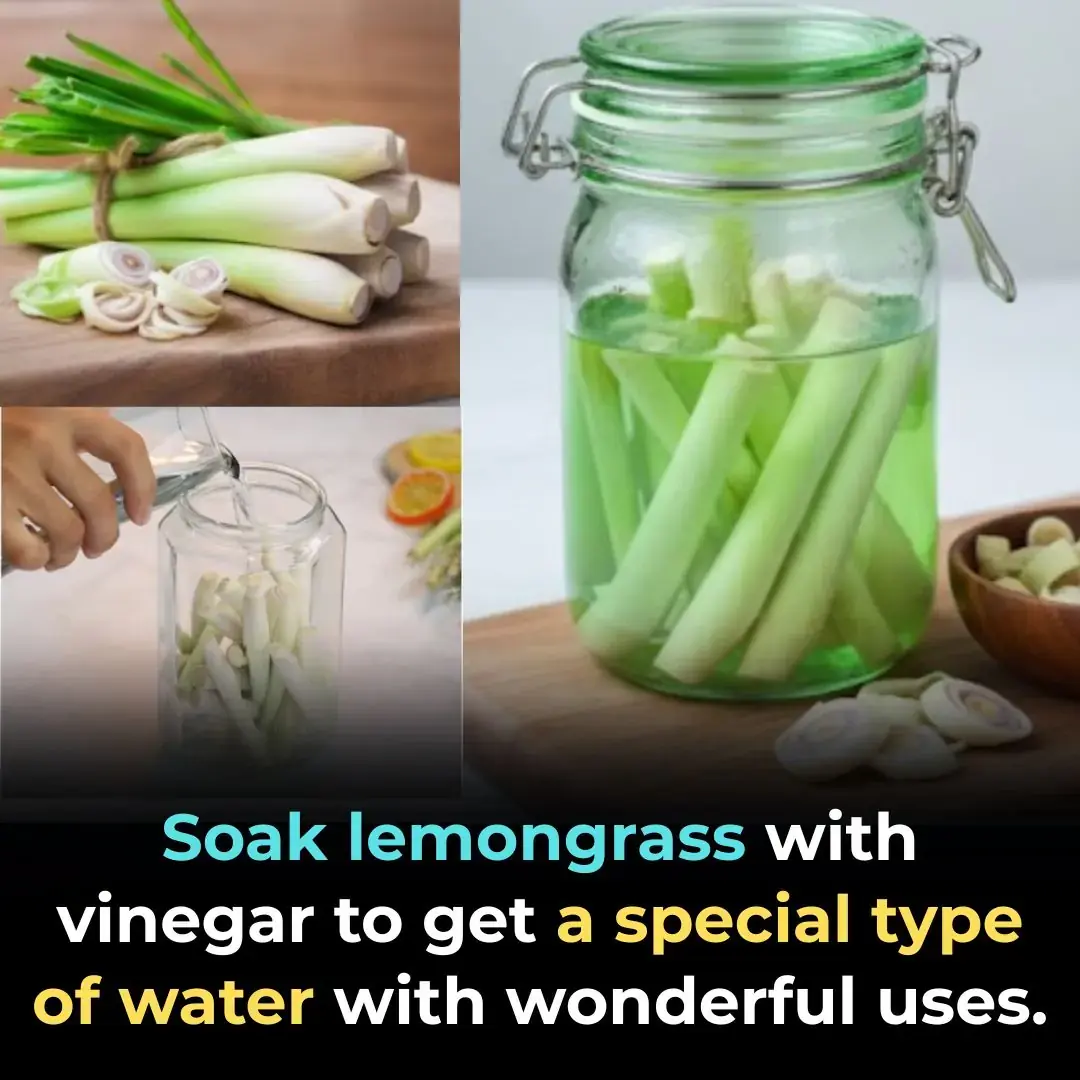 Remoja limoncillo con vinagre para obtener un tipo de agua especial con maravillosos usos.