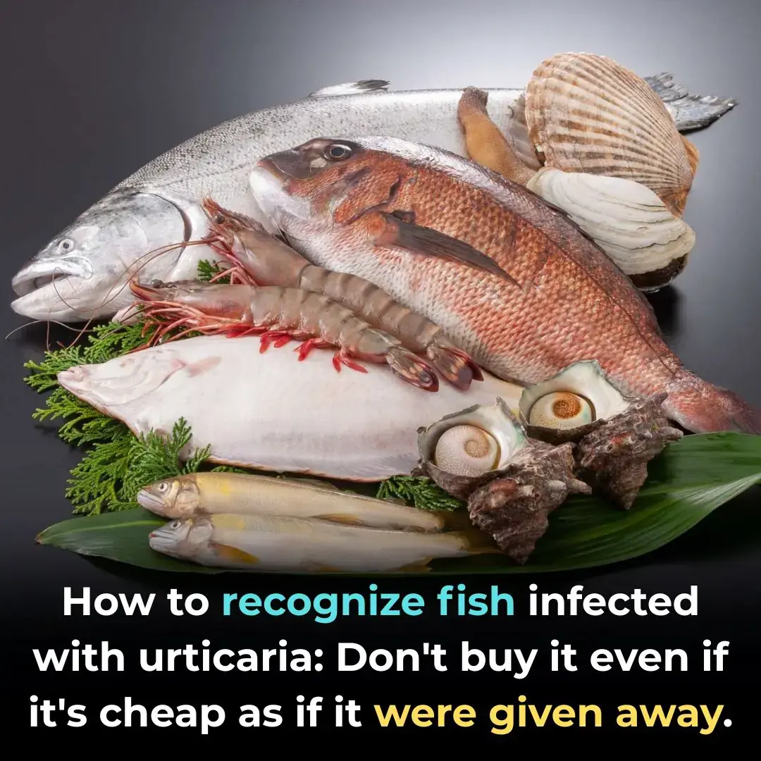 Cómo reconocer el pescado infectado con urticaria: No lo compres aunque sea barato como si estuviera regalado.