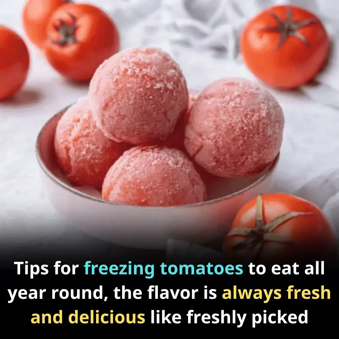 Consejos para congelar tomates para comer todo el año, el sabor siempre es fresco y delicioso como recién cogido