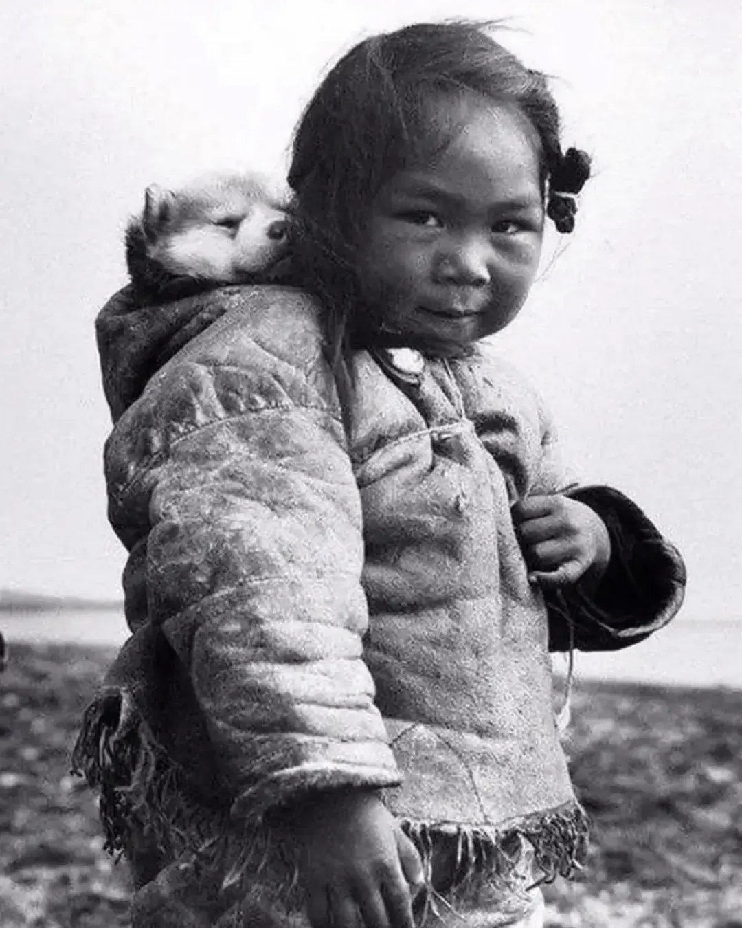Una niña, un cachorro y el Ártico: la perdurable historia detrás de una fotografía icónica