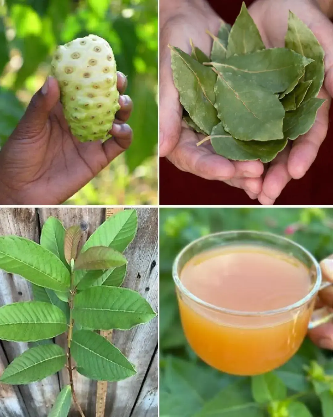 El tónico curativo definitivo: una bebida poderosa para combatir los pies hinchados, la diabetes y la mala circulación