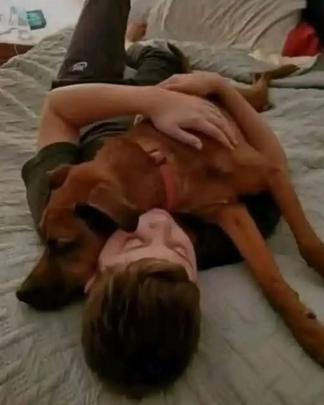 De cajas a sofás: la segunda oportunidad de un perro.