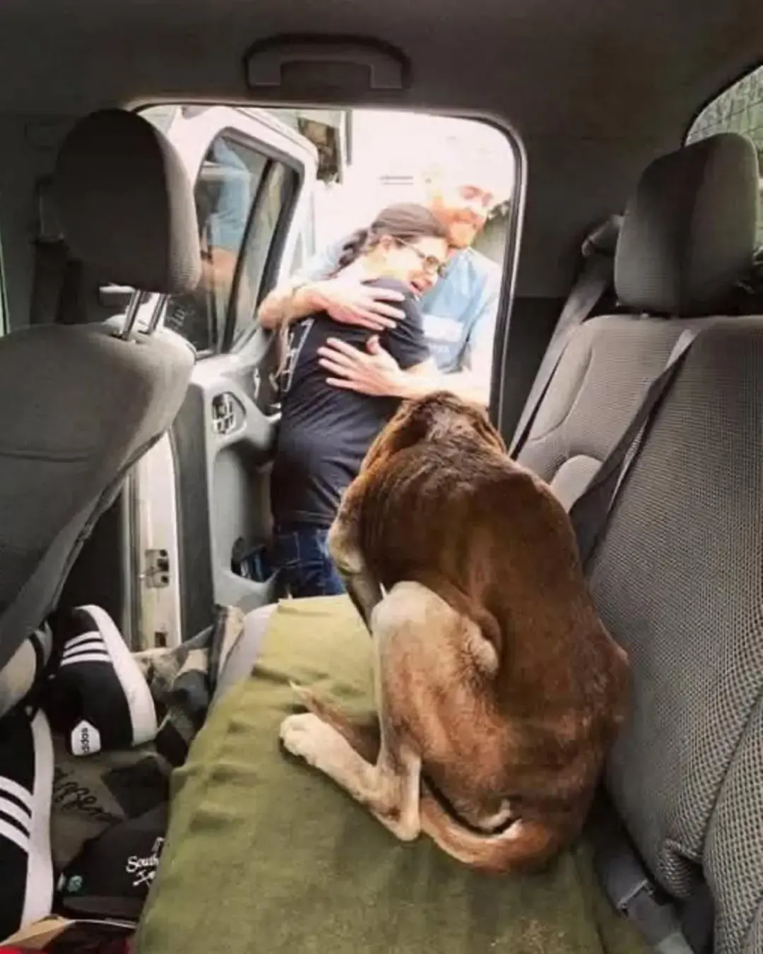 Un niño, un gato y un momento que detuvo el tiempo