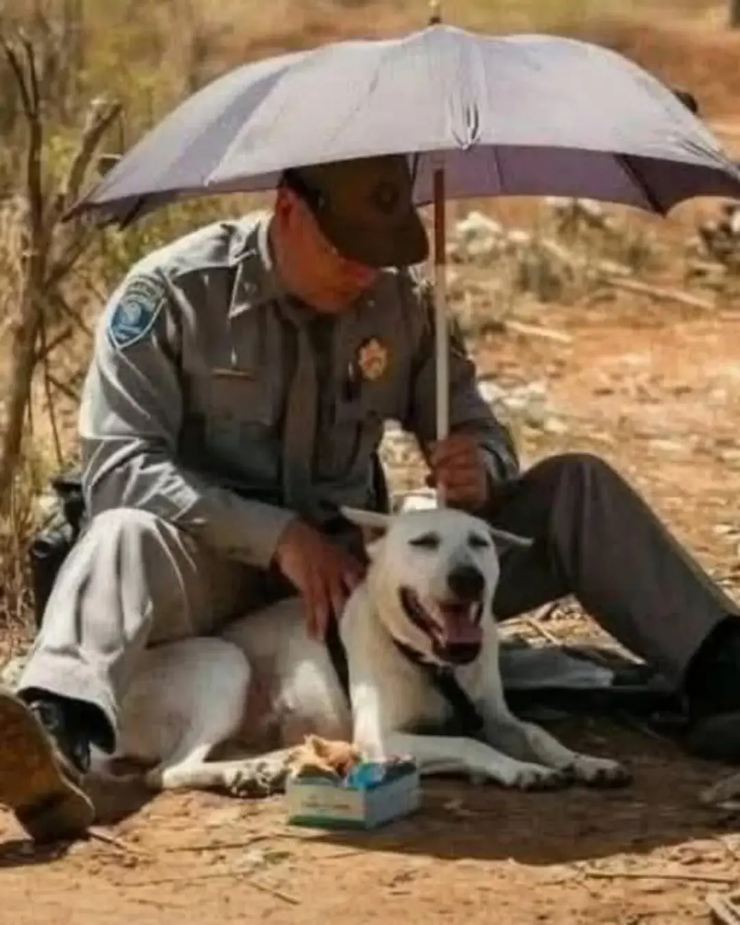 Policía de Tennessee detiene el tráfico para salvar a un perro moribundo